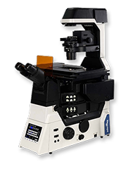 biological microscope